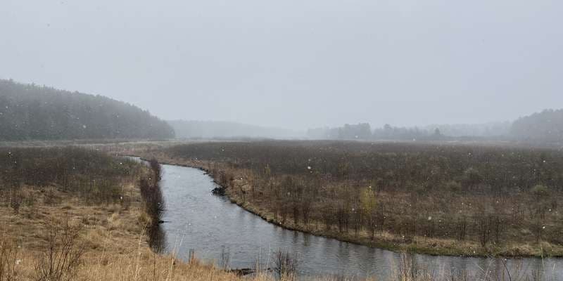 The featured photo for Brown Bridge Bottomlands