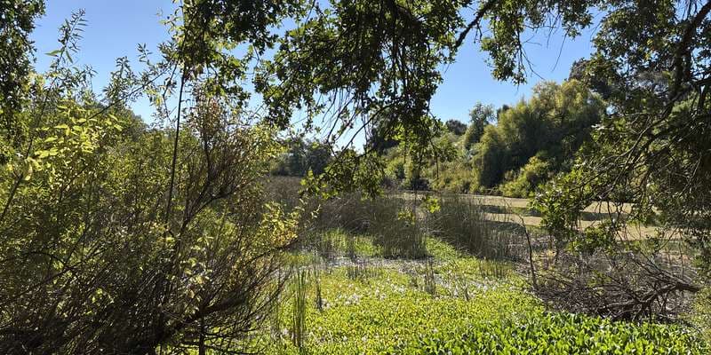 The featured photo for River Walk - Viewing Area