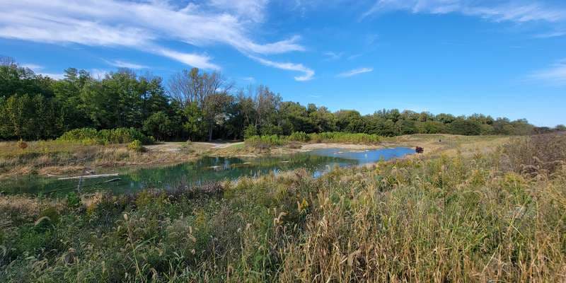 The featured photo for Springcreek Confluence Off-Channel Wetlands
