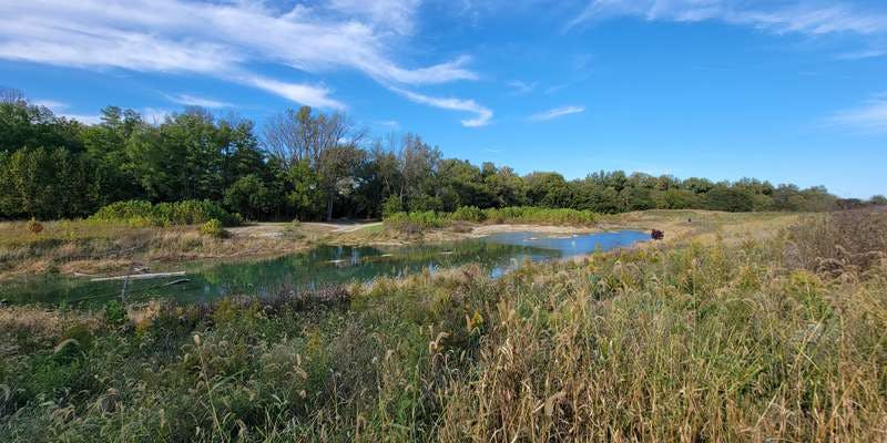The featured photo for Springcreek Confluence Off-Channel Wetlands