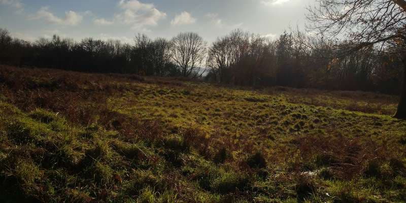 The featured photo for WWS101