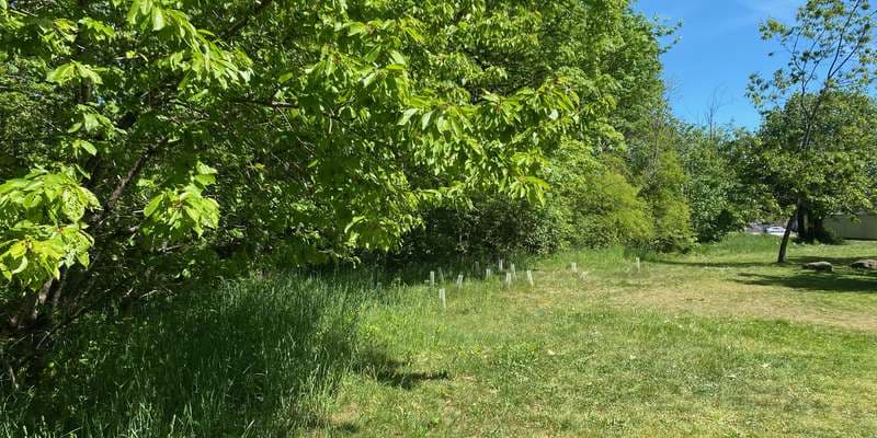 The featured photo for Chase River (John Barsby School)