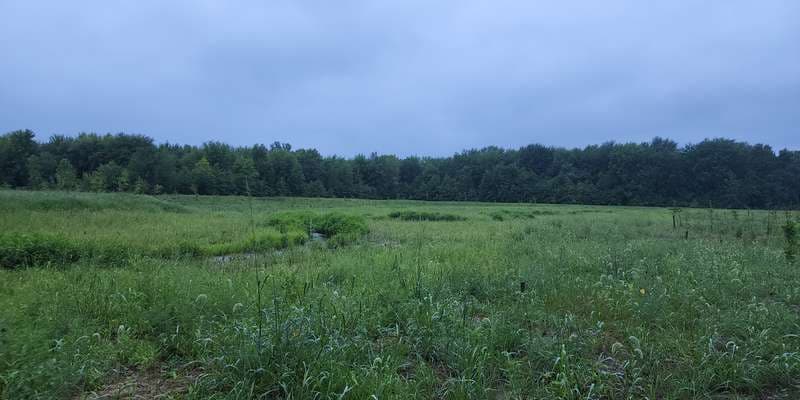 The featured photo for Martin's Run Wetland and Stream Restoration Project