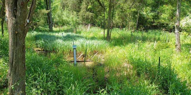 The featured photo for Pinchot - Cabin 9 Long Pool