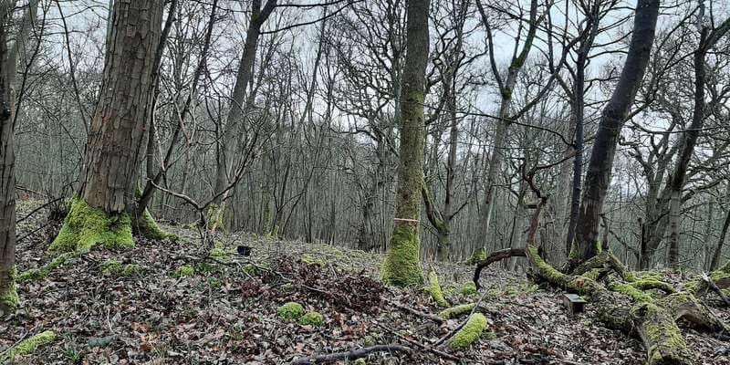 The featured photo for WWS116