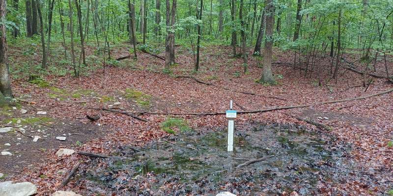 The featured photo for Kings Gap - Forest Pool 4