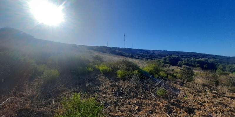 The featured photo for Tygerberg Nature Reserve 1