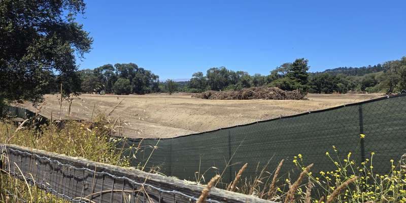 The featured photo for Floodplain from South Bank Trail