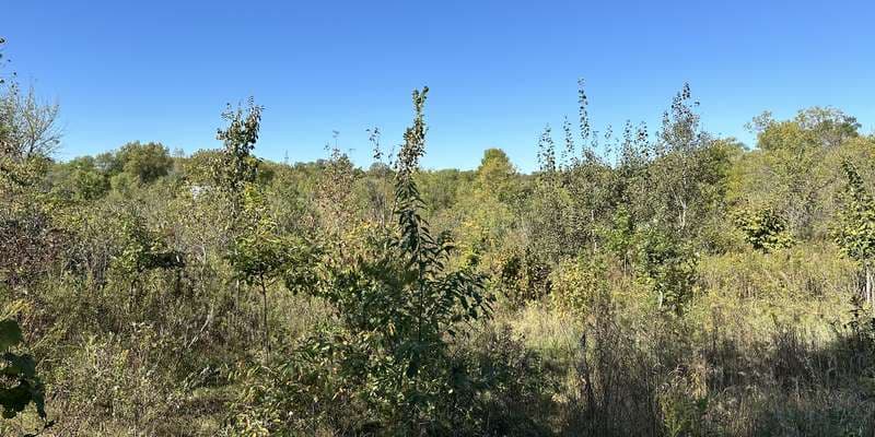 The featured photo for Lake Rebecca Park Reserve – Crow River at Canoe