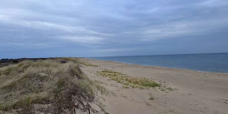 The featured photo for Lot 5 Observation Deck - Beach Dunes