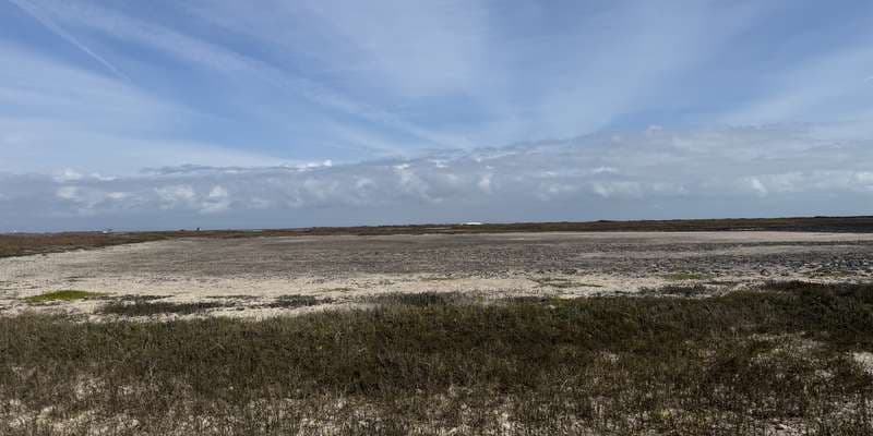 The featured photo for Tidal Mudflats at Bird Island Basin