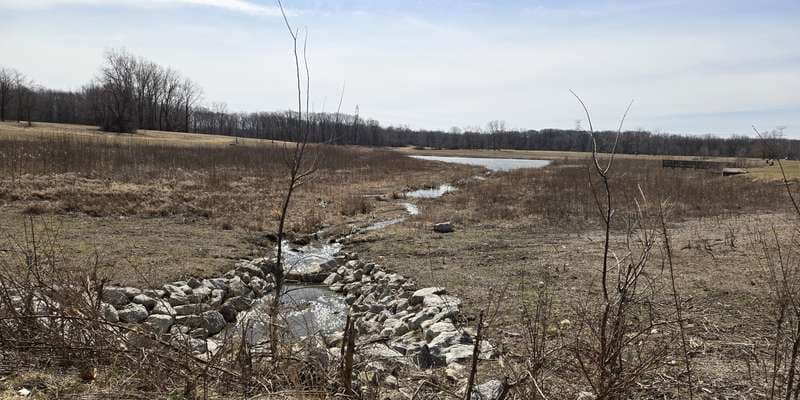 The featured photo for Washego Pond