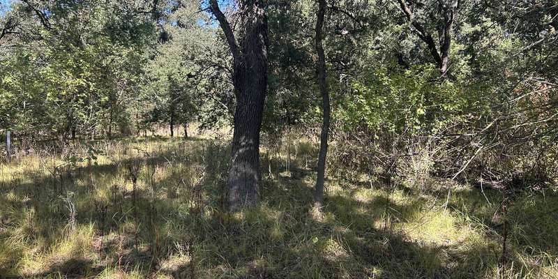 The featured photo for River Walk - the Point Forest