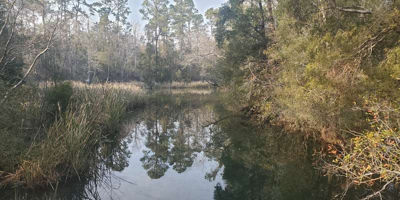 The featured photo for Escambia River
