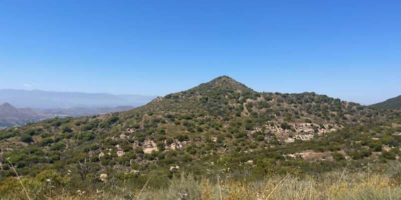 The featured photo for #SpringsFire04