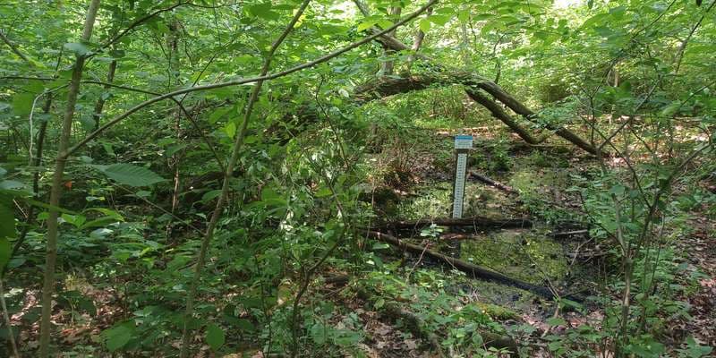 The featured photo for Pinchot - Old Toboggan Run Pool