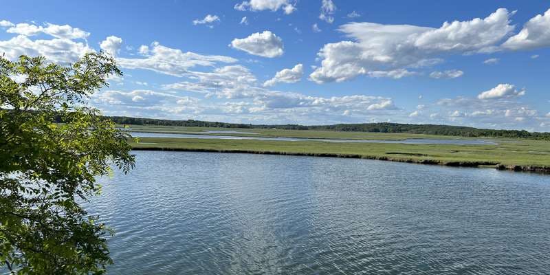 The featured photo for Scarborough Marsh-Western View