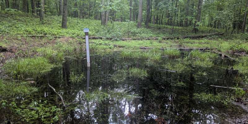 The featured photo for Kings Gap - Forest Pool 7