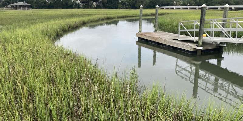 The featured photo for Osprey Outlook Boardwalk