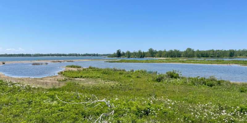 The featured photo for Gull Point Observation Platform