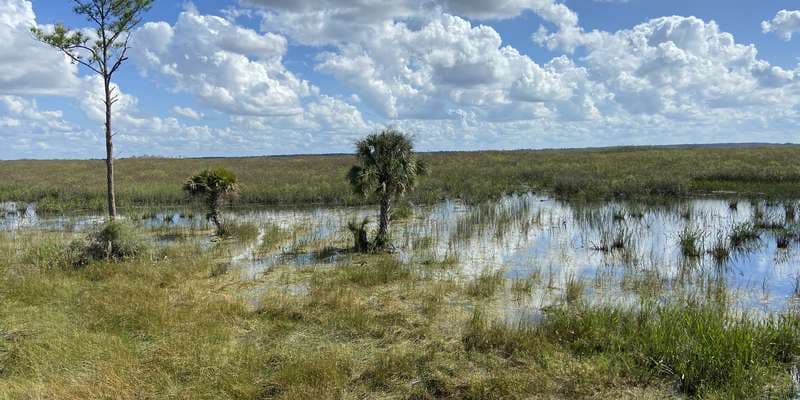The featured photo for CREW Marsh Trails Observation Tower