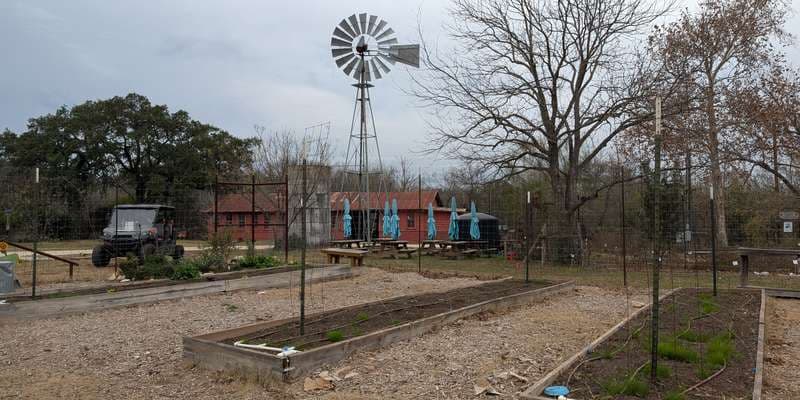 The featured photo for Children's Vegetable Garden