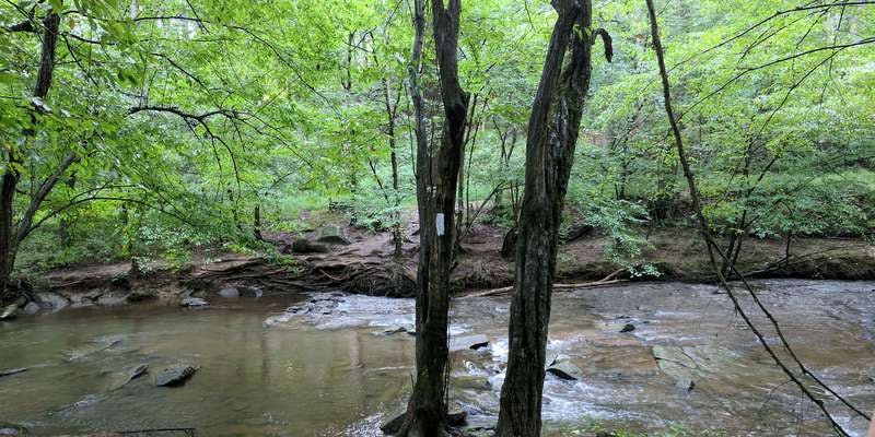 The featured photo for North Branch Rock Creek