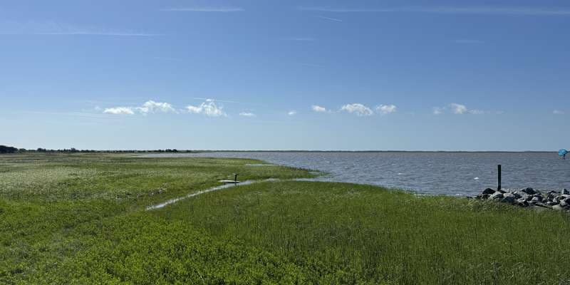 The featured photo for Zeke's Island Reserve