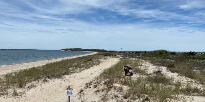 The featured photo for Elizabeth A. Morton National Wildlife Refuge