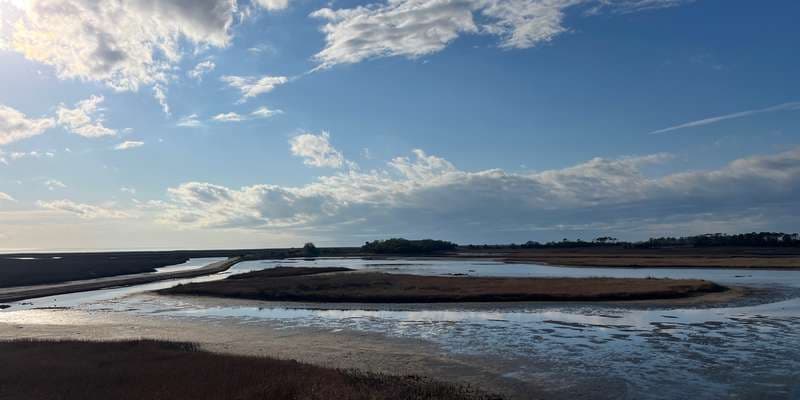 The featured photo for Big Bend WMA