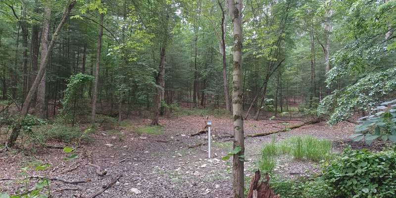 The featured photo for Kings Gap - Pine Pool 3