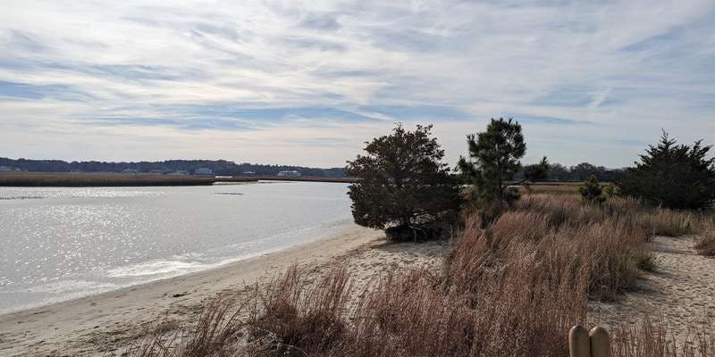 The featured photo for Pleasure House Point Natural Area  - Crab Creek