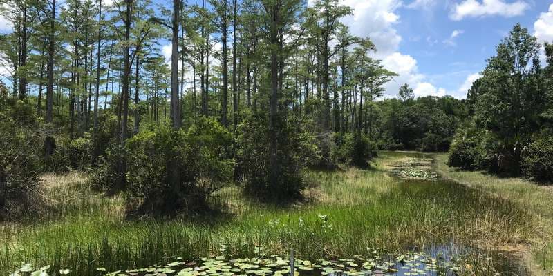 The featured photo for Riverbend Park