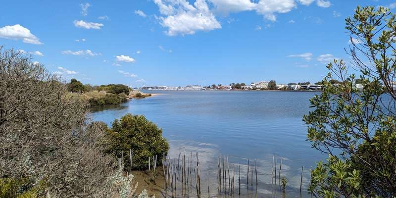 The featured photo for Sandy Point wetland revegetation