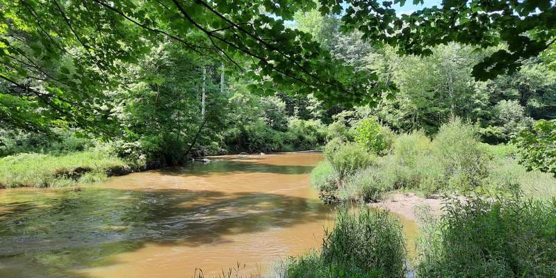 The featured photo for Belle River - Columbus County Park