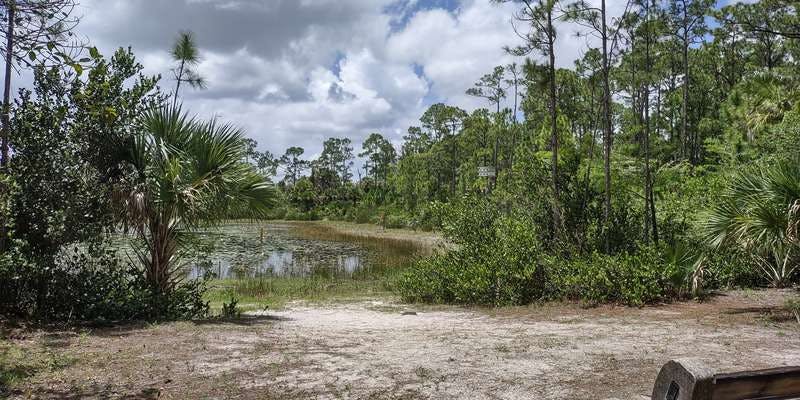 The featured photo for Okeeheelee Nature Center