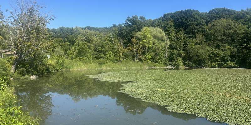 The featured photo for HRE-103