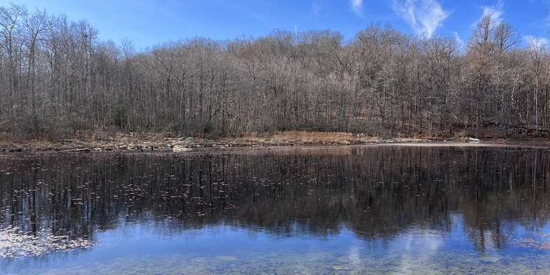 The featured photo for Fishing Creek Rd Firepond (Watershed)