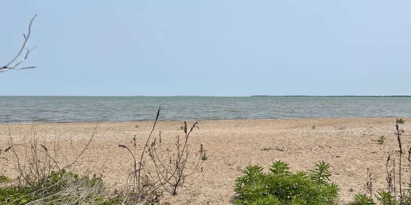 The featured photo for Port Clinton Lakefront Preserve