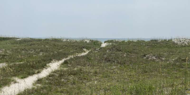 The featured photo for Masonboro Island Reserve