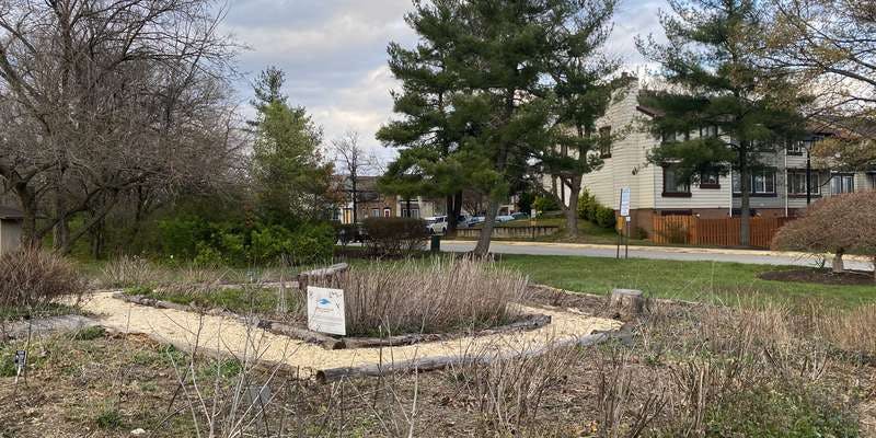 The featured photo for Sweitzer Park Native Plant Garden