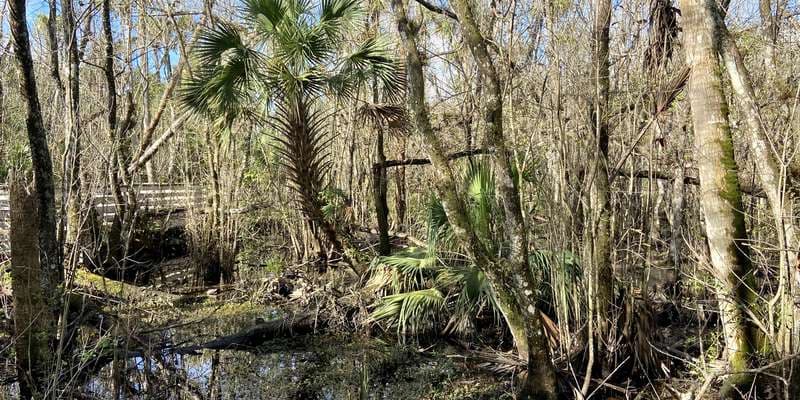 The featured photo for CREW Marsh Trails Pop Ash Slough