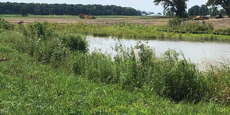 The featured photo for Mercer Wetland Complex Restoration