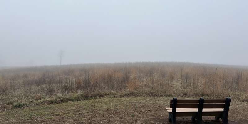 The featured photo for Brandywine Creek State Park-Overlook Hill