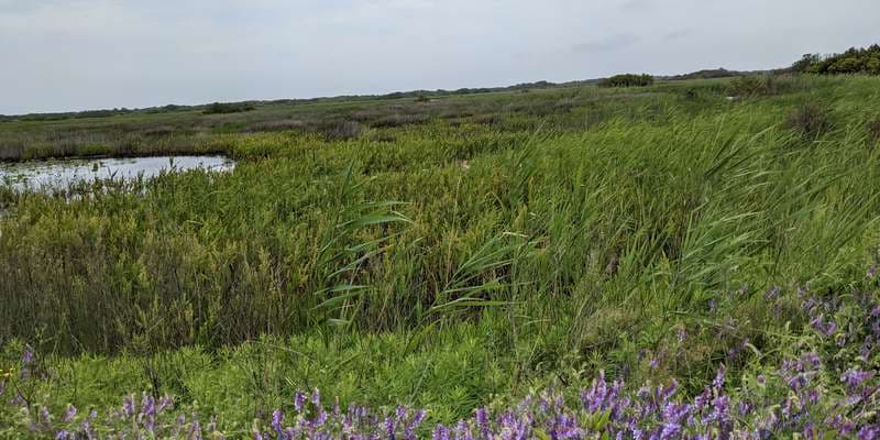 The featured photo for Impoundment Complex