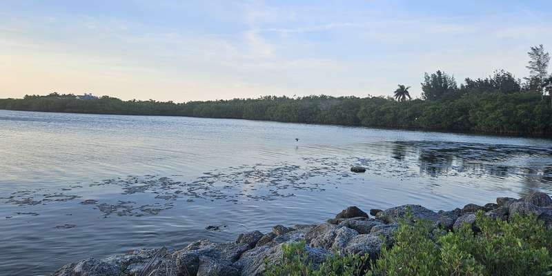 The featured photo for Wabasso Causeway Park