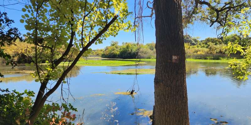 The featured photo for River Walk - the Point River