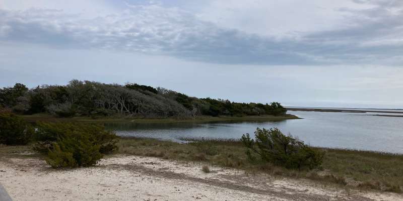 The featured photo for Rachel Carson Reserve