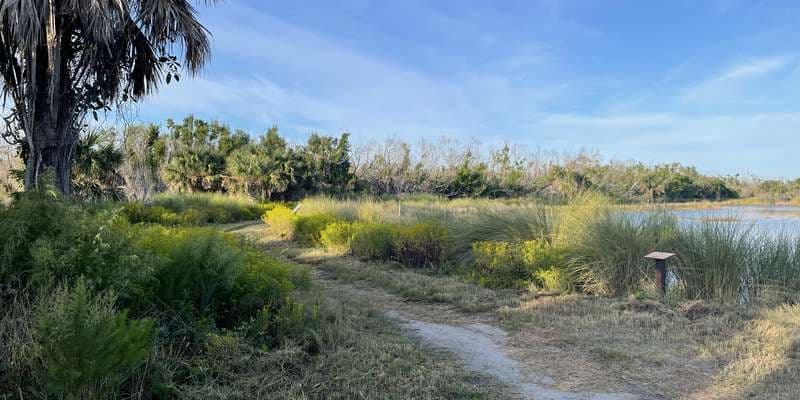 The featured photo for Bailey Tract