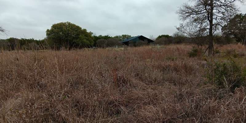 The featured photo for Golden Age in the Savanna